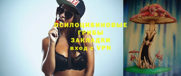 ГАЛЛЮЦИНОГЕННЫЕ ГРИБЫ Магас